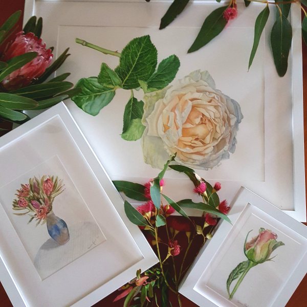 Floral watercolours by Tricia Hood