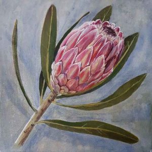 Protea flower. Acrylic painting